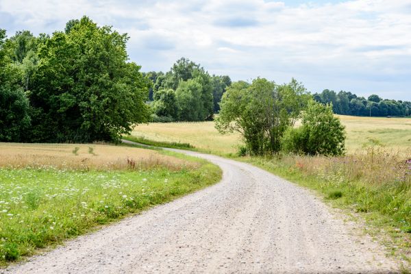 Stone Driveway Repair in Everett