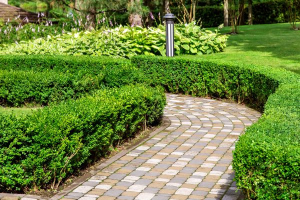 Cost of Paved Landscaping in Everett