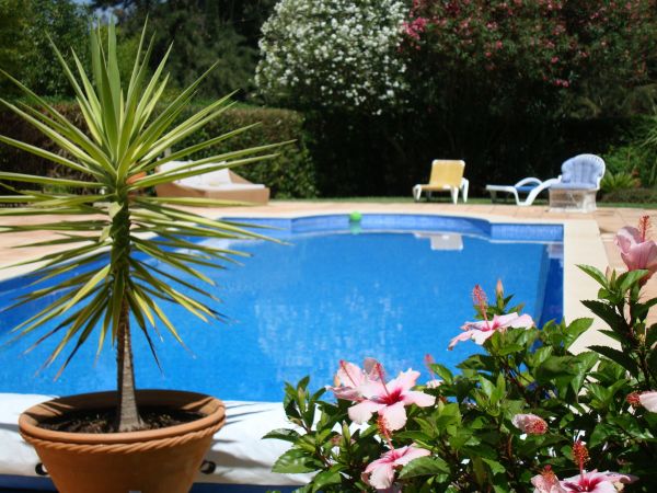 Cost of Pool Terrace Renovation in Everett